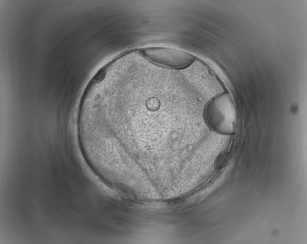 X0000116890957201001121341