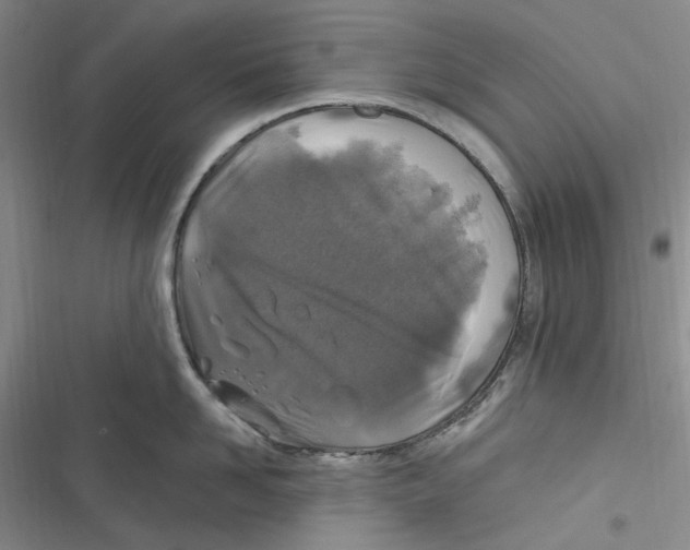 X0000116890958201001121341