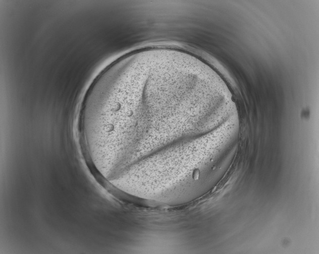 X0000116890959201001121341