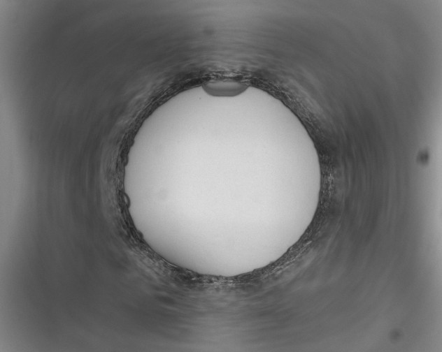 X0000116890961201001121340