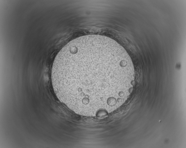 X0000116890962201001121340