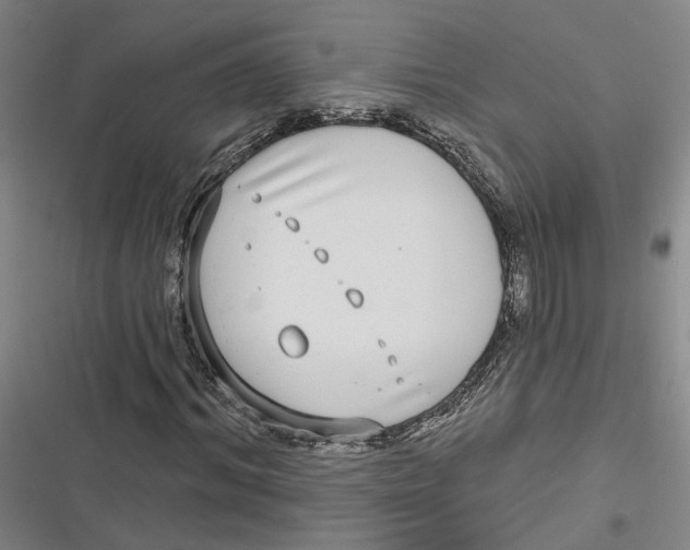 X0000116890964201001121340