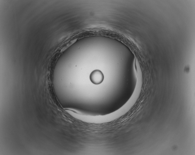 X0000116890965201001121340