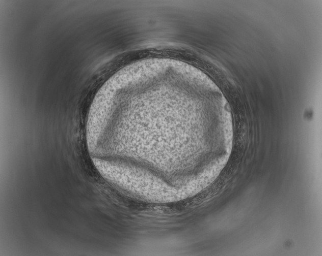 X0000116890966201001121340