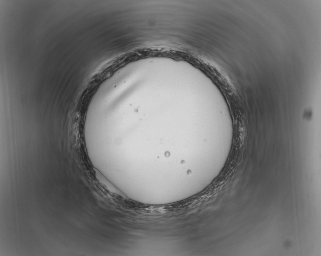 X0000116890968201001121340