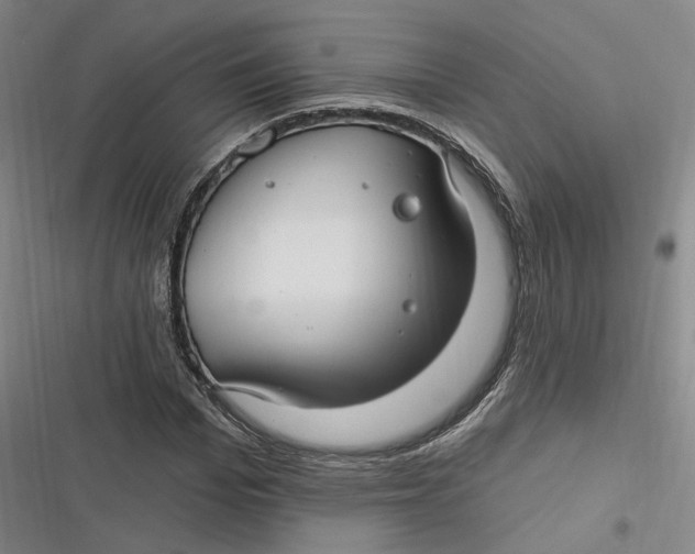 X0000116890969201001121340