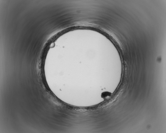 X0000116890971201001121340