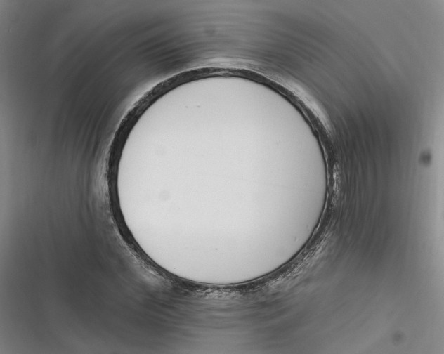 X0000116890972201001121340