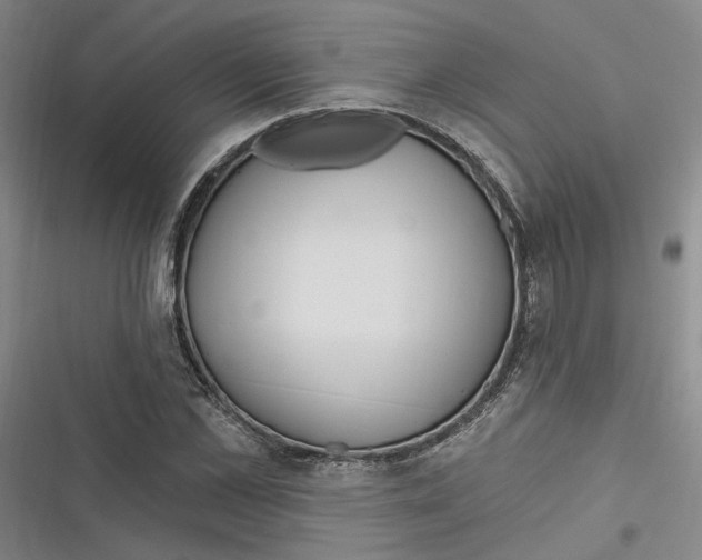 X0000116890973201001121340