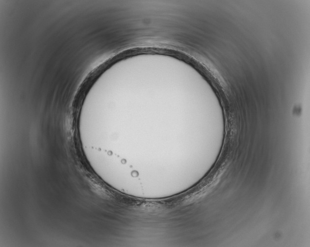 X0000116890974201001121340