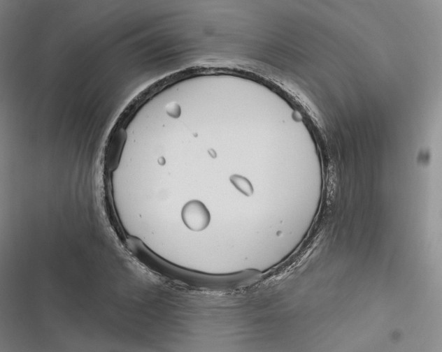 X0000116890976201001121340