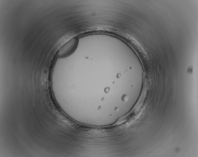 X0000116890977201001121340