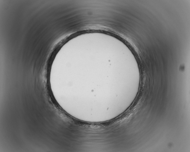 X0000116890979201001121340