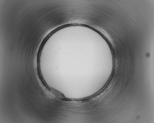 X0000116890980201001121340