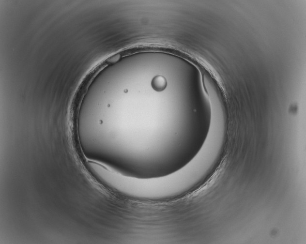 X0000116890981201001121340