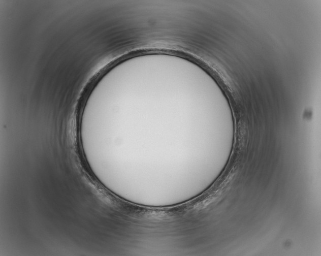 X0000116890982201001121340