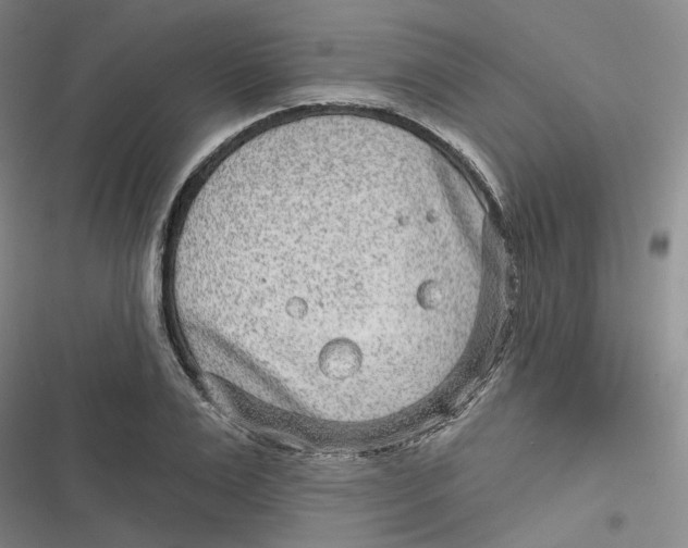 X0000116890983201001121340