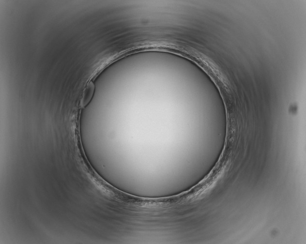 X0000116890985201001121340