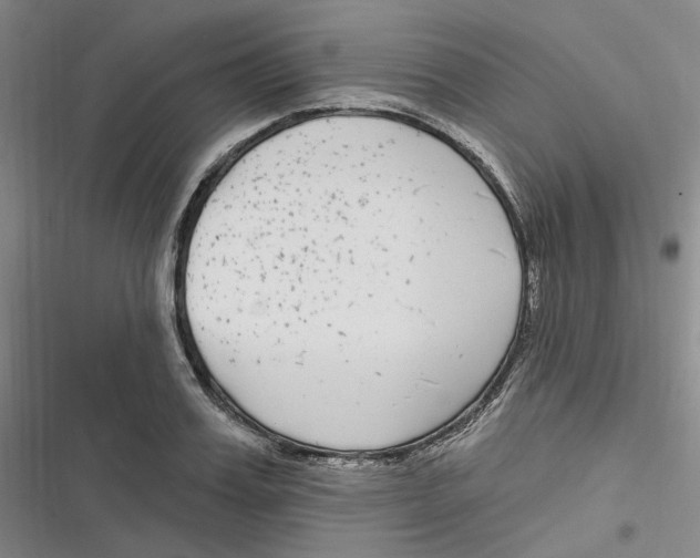 X0000116890987201001121340