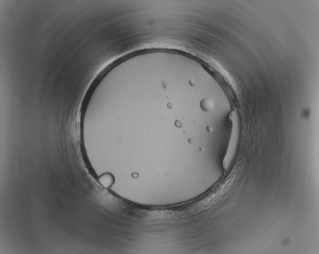 X0000116890988201001121340