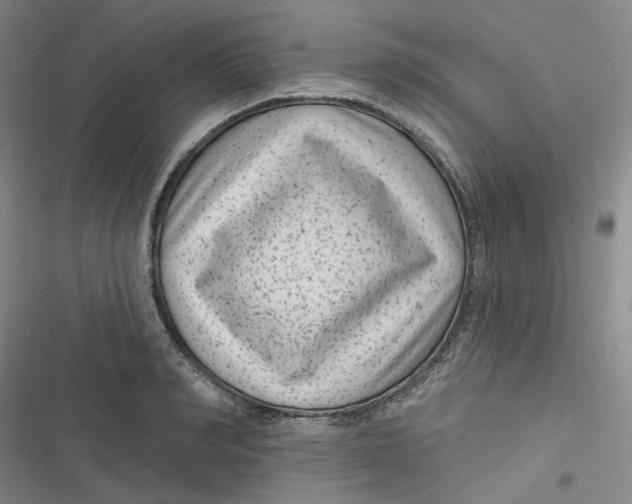 X0000116890990201001121340