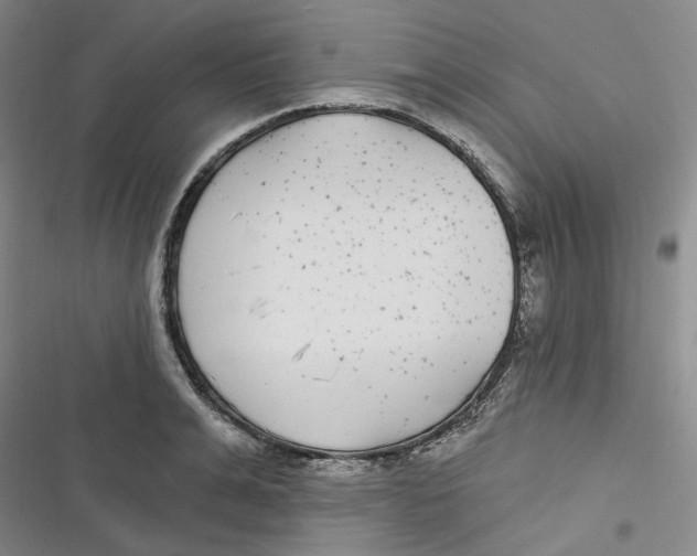 X0000116890991201001121340