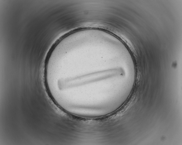 X0000116890992201001121340