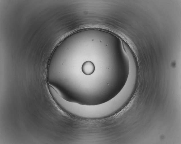 X0000116890993201001121340