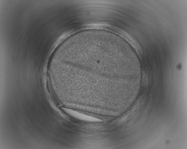 X0000116890994201001121340