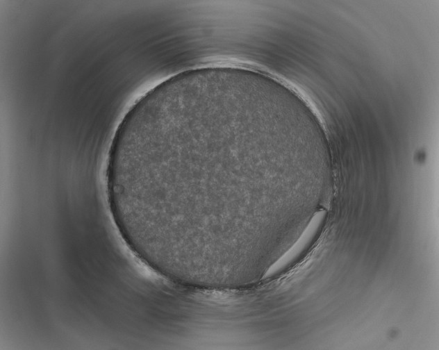 X0000116890995201001121340