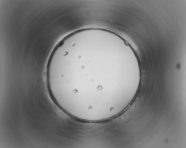 X0000116890996201001121340