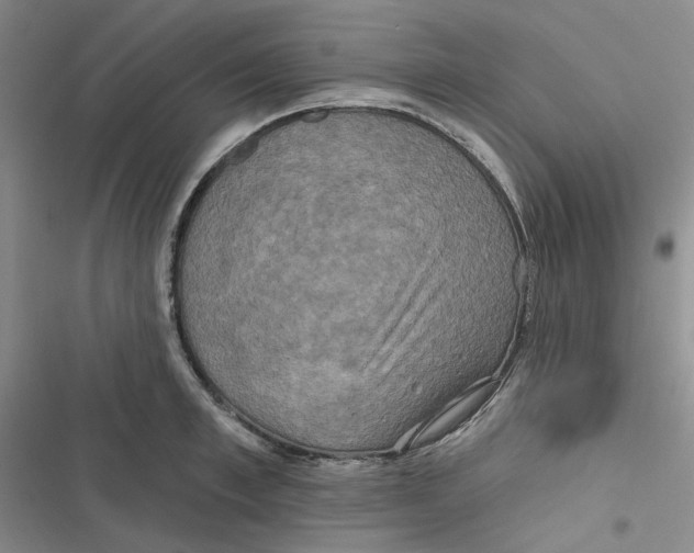 X0000116890997201001121340