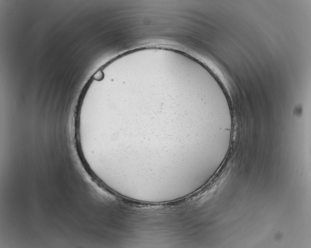 X0000116890999201001121339