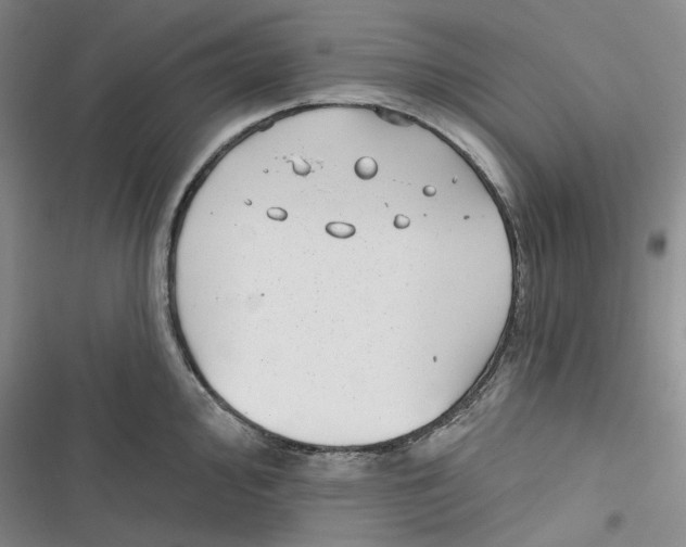 X0000116891000201001121339