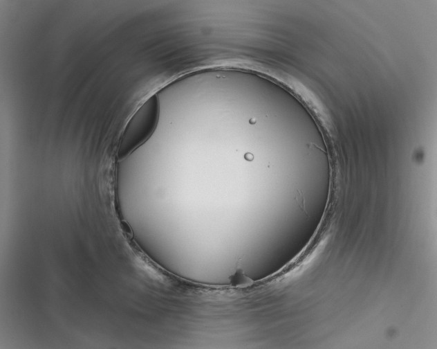 X0000116891001201001121339