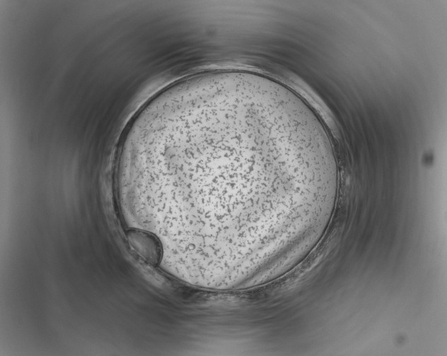 X0000116891002201001121339