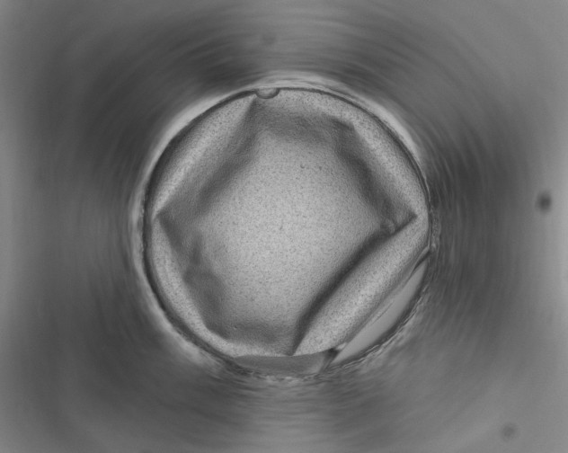 X0000116891003201001121339