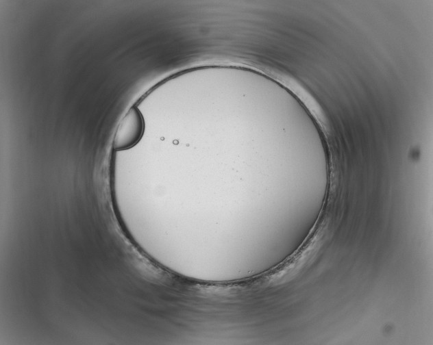 X0000116891004201001121339