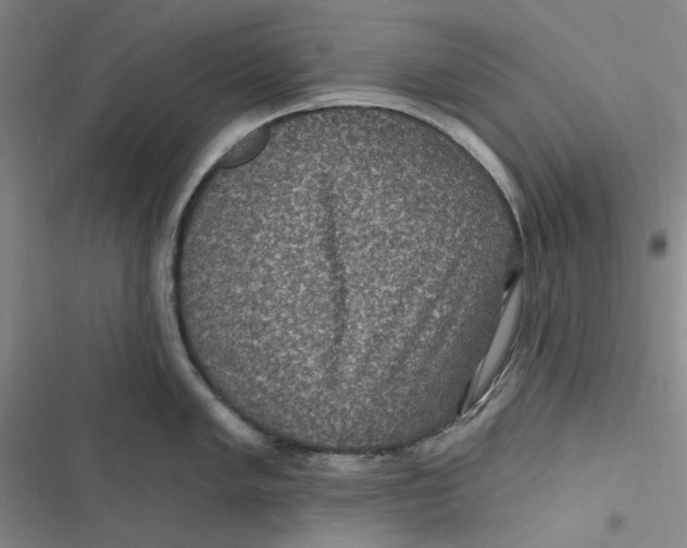 X0000116891005201001121339