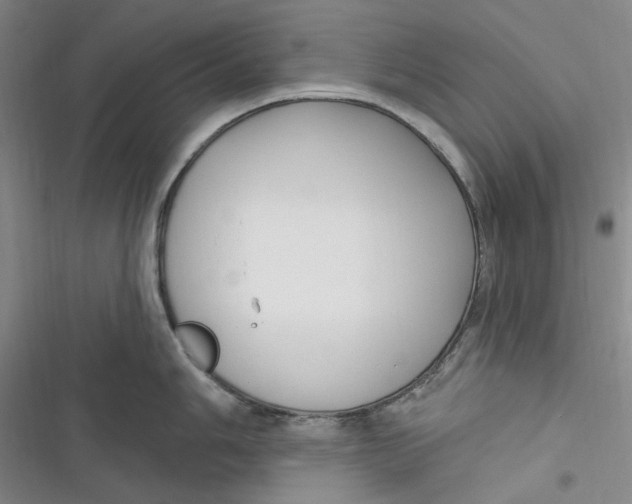 X0000116891006201001121339