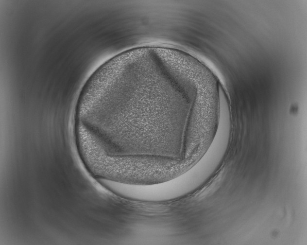 X0000116891007201001121339