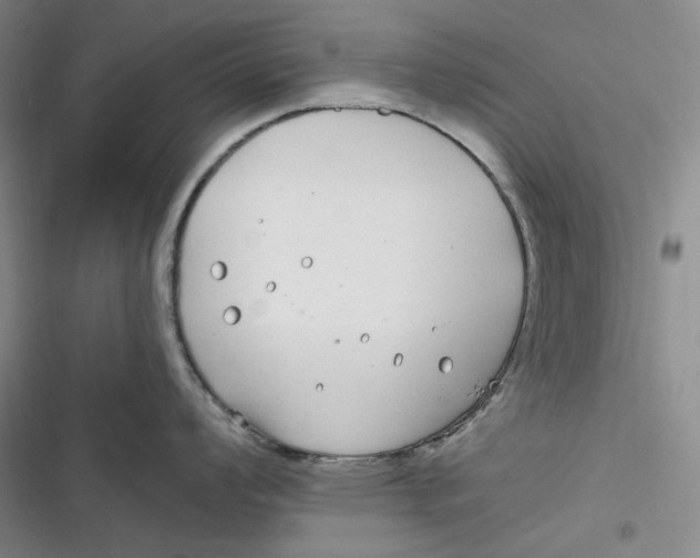 X0000116891008201001121339