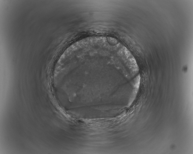 X0000116891009201001121339