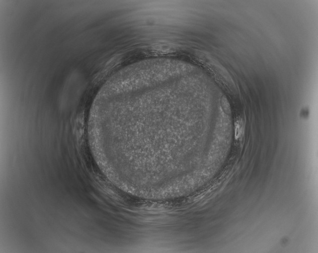 X0000116891011201001121339