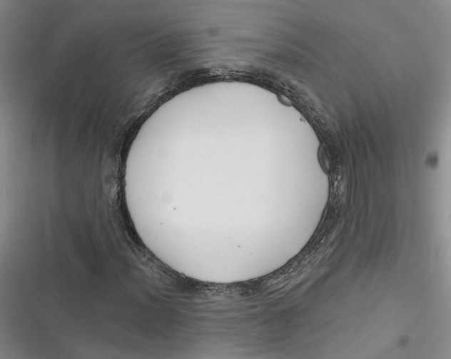 X0000116891012201001121339