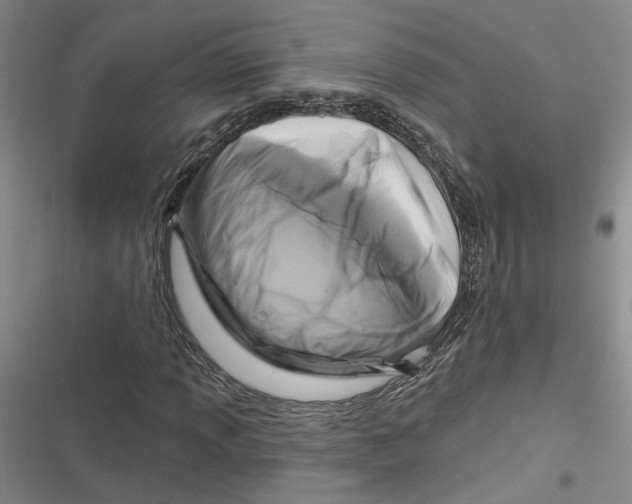 X0000116891013201001121339