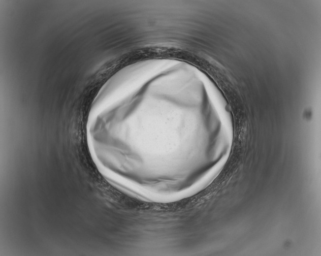 X0000116891014201001121339