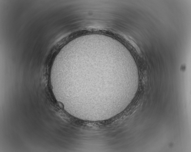 X0000116891015201001121339