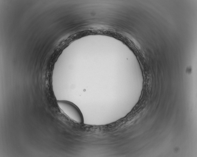 X0000116891016201001121339