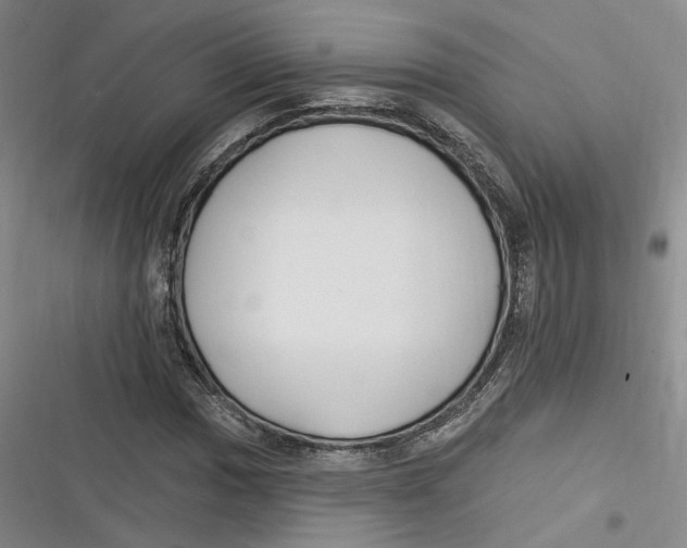 X0000116891017201001121339